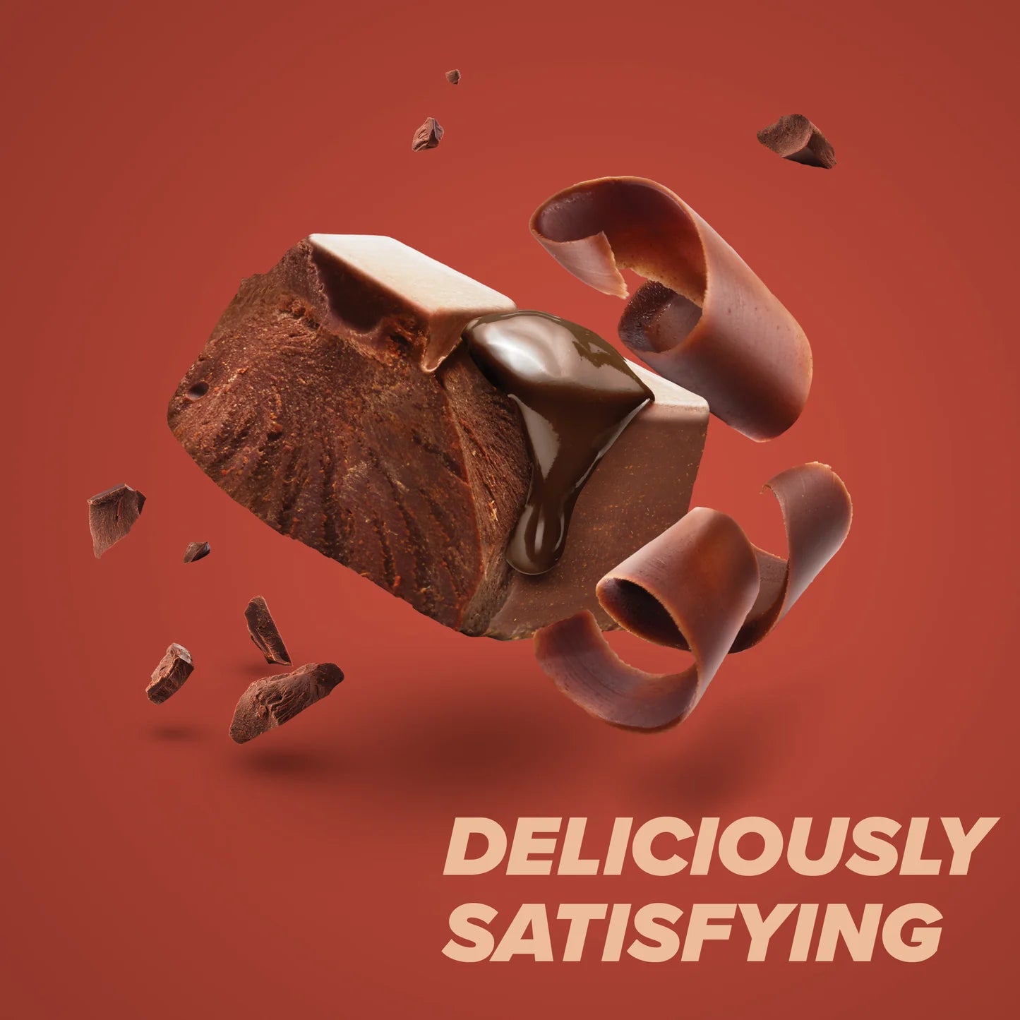 Chocolate Deluxe Protein Bar