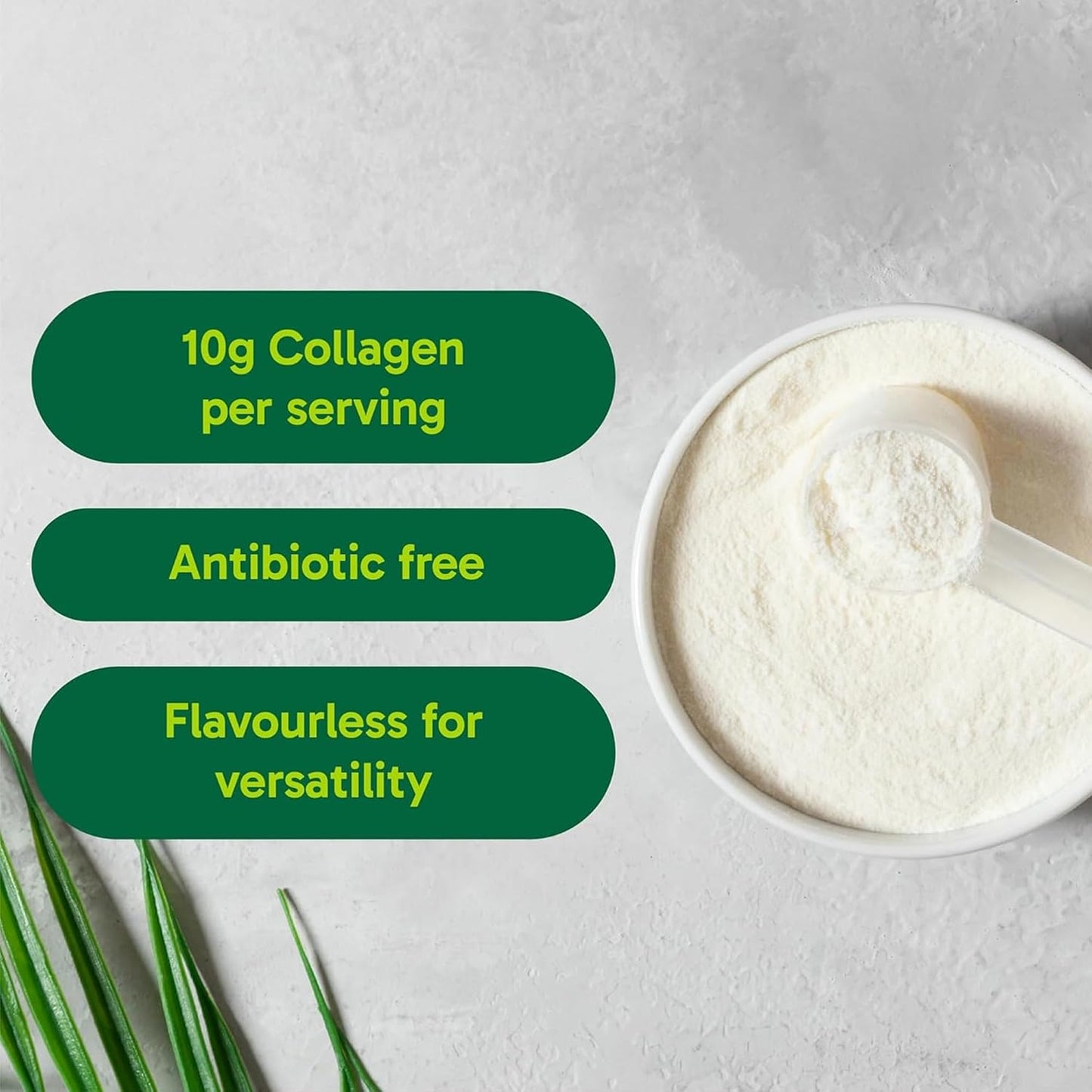 Organika Enhanced Collagen Protein Powder – 2 kg